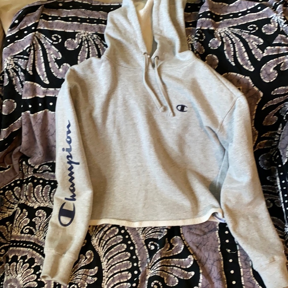 Small gray cropped champion sweater